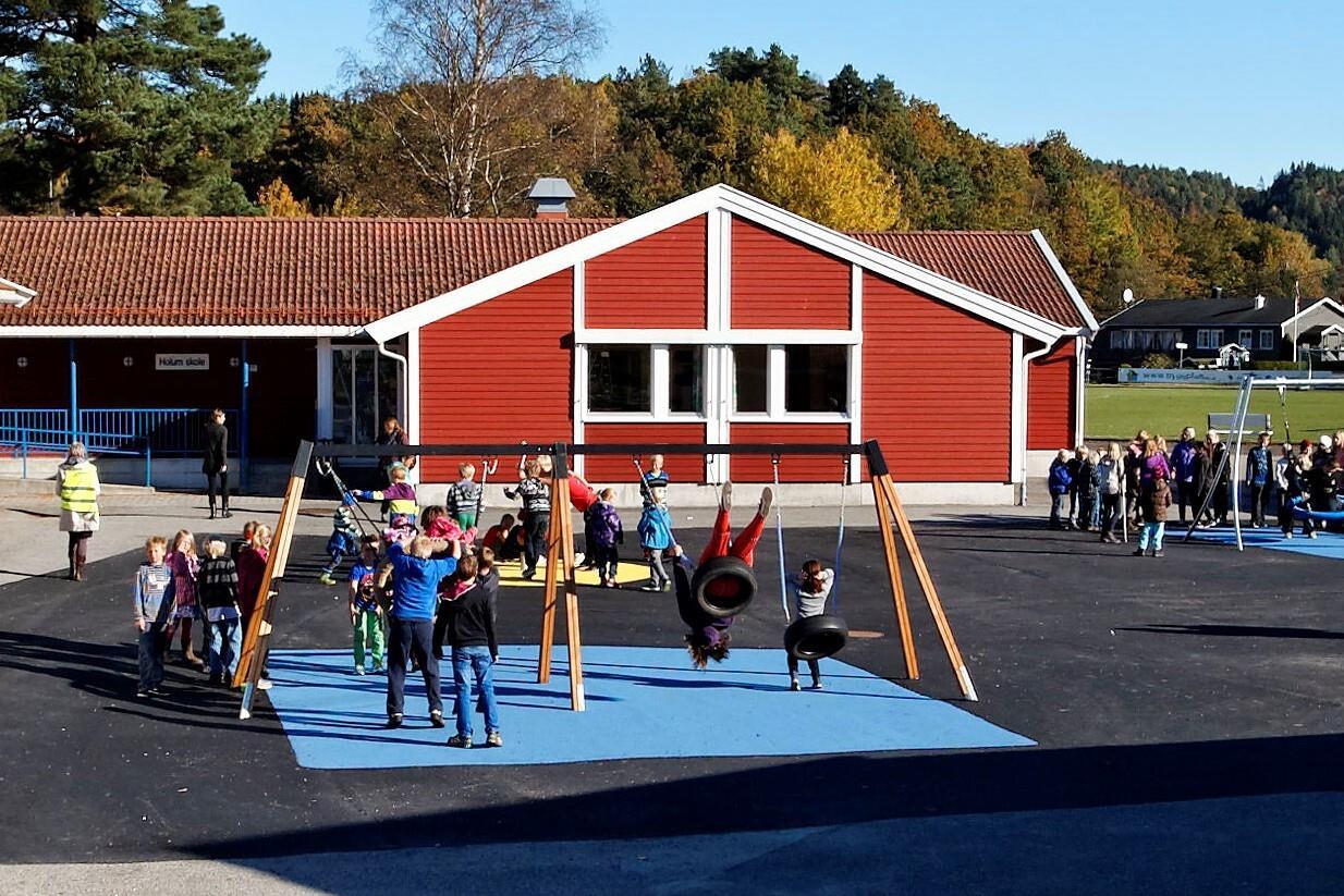 Holum skole